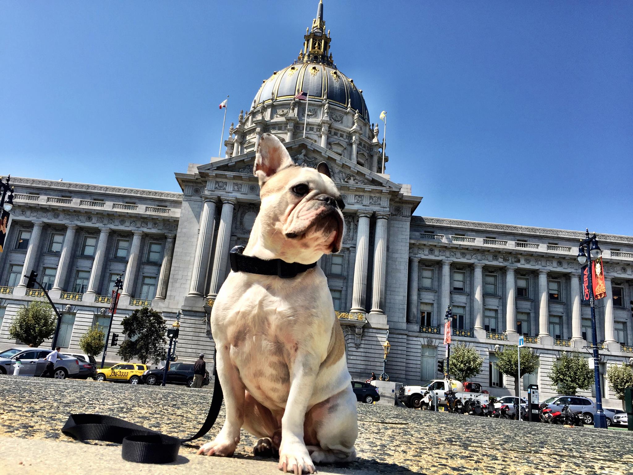 On Loss, Love, and Dreaming From San Francisco Into the Next Year